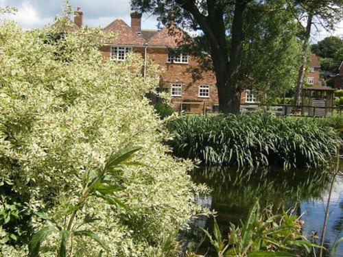 The Pelican Inn Froxfield  Bagian luar foto